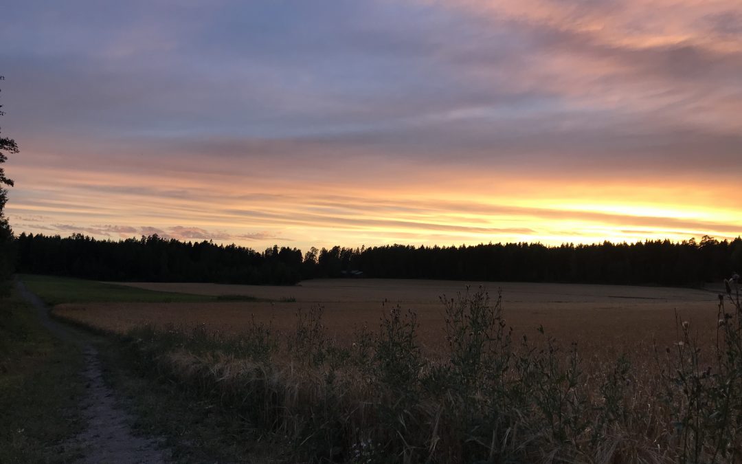 Cardio-harjoittelua ja räjähtävyyttä jalkoihin